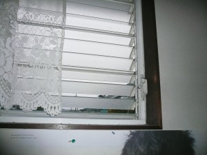 P1050820 P1050820