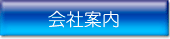 taikai